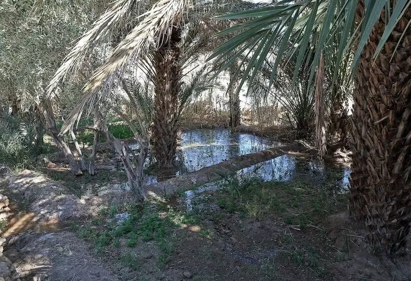 Hotelli Kasbah Tissint