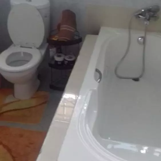 ホテル Pasandy Lodge