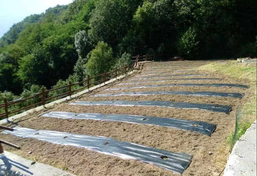 Maaseutuhotelli Agriturismo Da Ysy