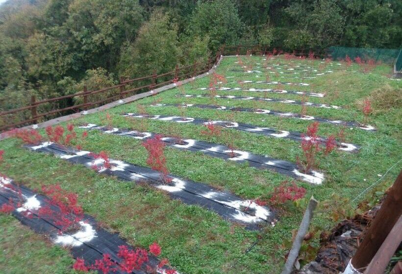 乡村酒店  Agriturismo Da Ysy