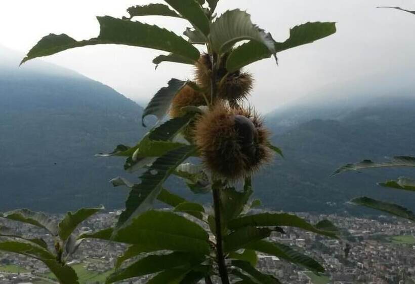 乡村酒店  Agriturismo Da Ysy