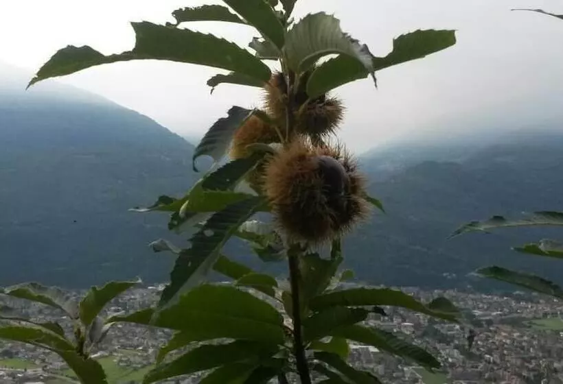 Maaseutuhotelli Agriturismo Da Ysy