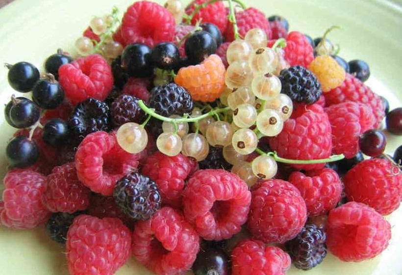 乡村酒店  Agriturismo Da Ysy