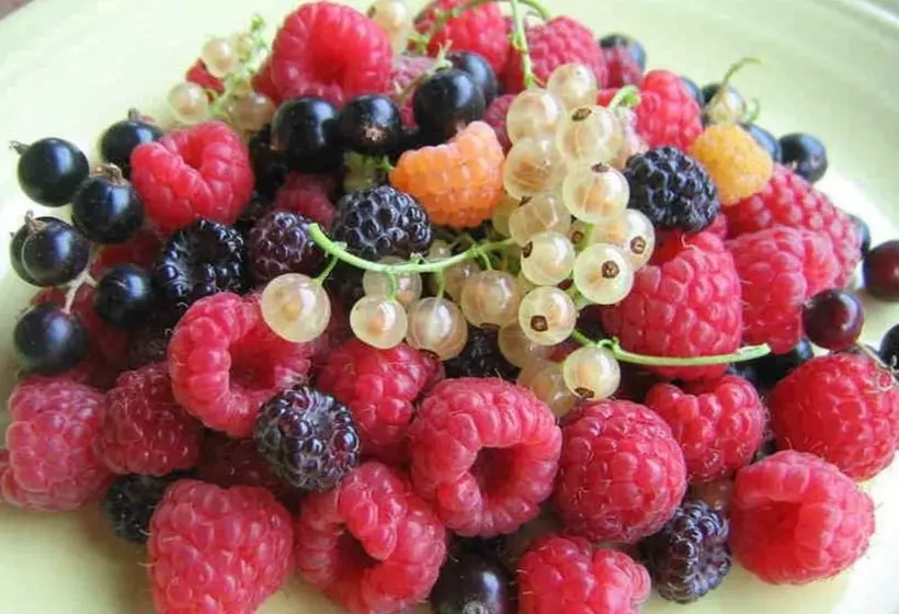 Maaseutuhotelli Agriturismo Da Ysy