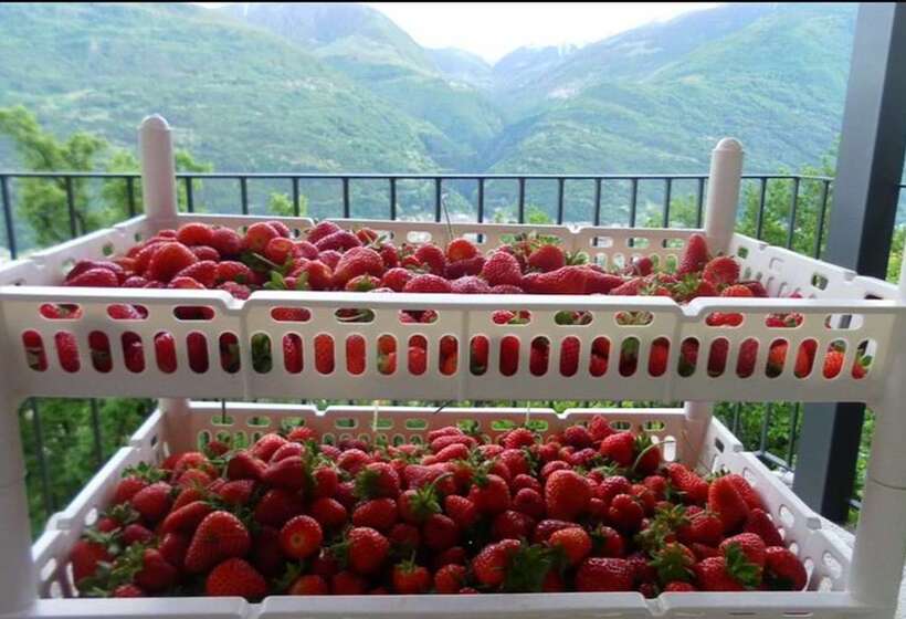 乡村酒店  Agriturismo Da Ysy