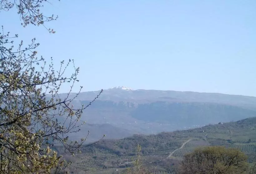 Maaseutuhotelli Agriturismo Le Cammarose