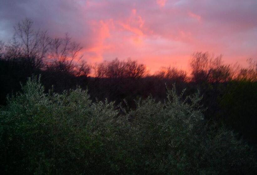 فندق ريفى Agriturismo Le Cammarose