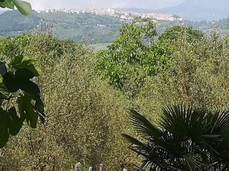 فندق ريفى Agriturismo Le Cammarose