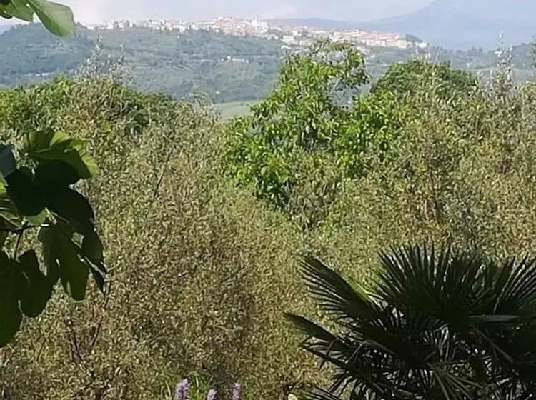 Maaseutuhotelli Agriturismo Le Cammarose