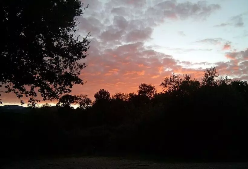 Maaseutuhotelli Agriturismo Le Cammarose