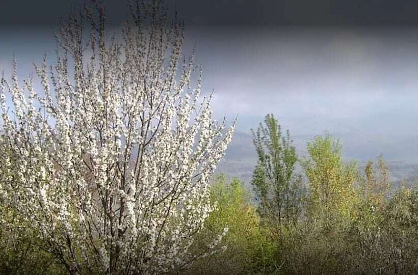 فندق ريفى Agriturismo Le Cammarose