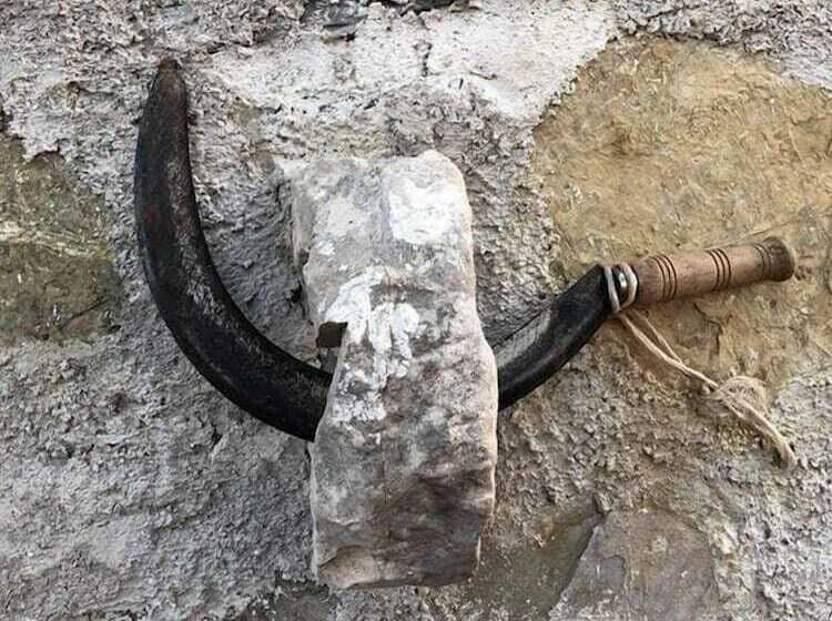 فندق ريفى Agriturismo Le Cammarose