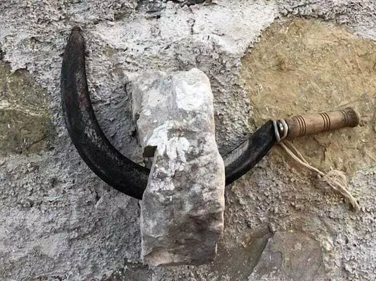 Maaseutuhotelli Agriturismo Le Cammarose