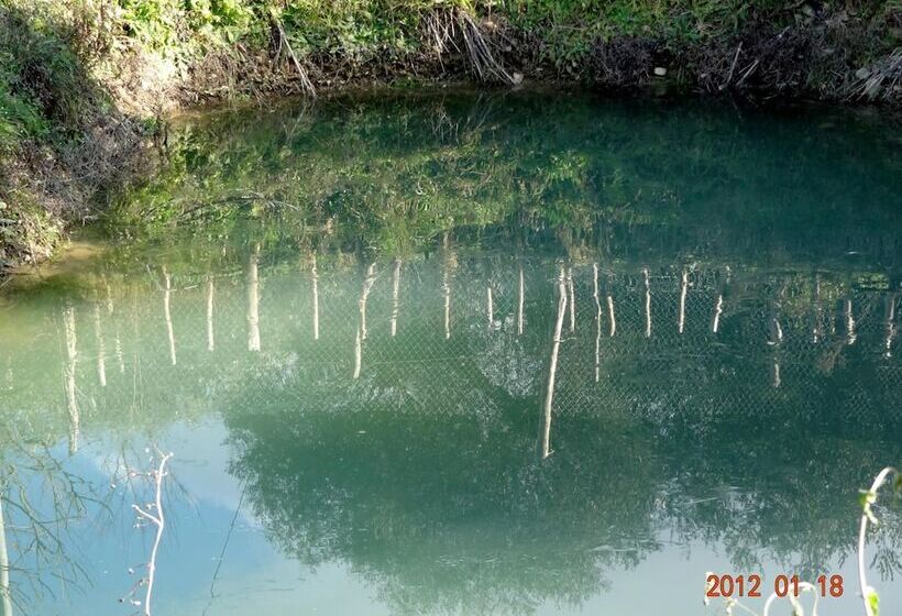 בית מלון כפרי Agriturismo Le Cammarose