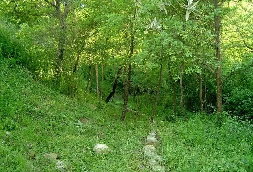 Maaseutuhotelli Agriturismo Le Cammarose