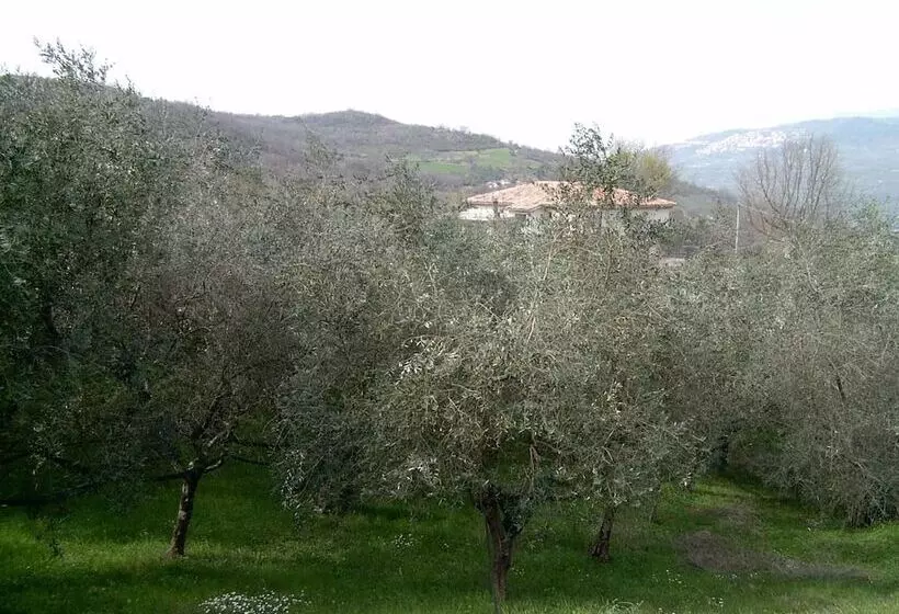 Maaseutuhotelli Agriturismo Le Cammarose