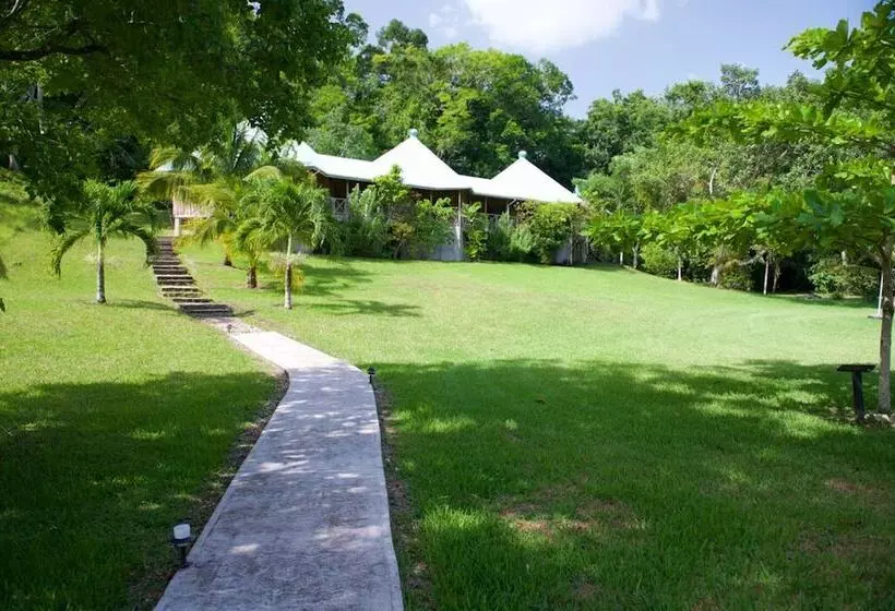 La Milpa Lodge   Hostel