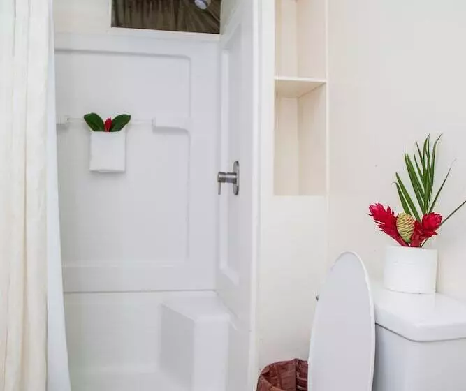 La Milpa Lodge   Hostel