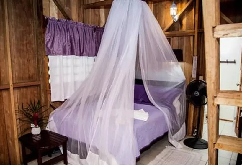 La Milpa Lodge   Hostel