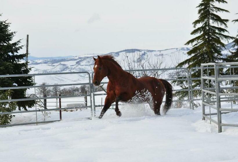 Masseria Straziuso La Vaccariccia