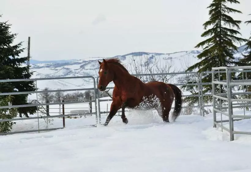 Masseria Straziuso  La Vaccariccia