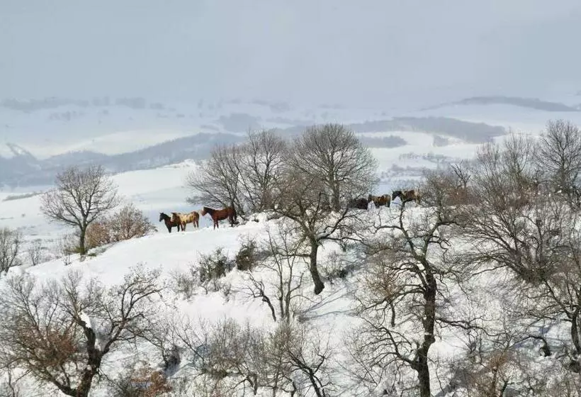 Masseria Straziuso  La Vaccariccia