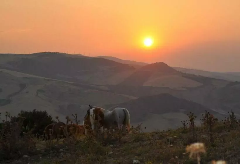 Masseria Straziuso  La Vaccariccia