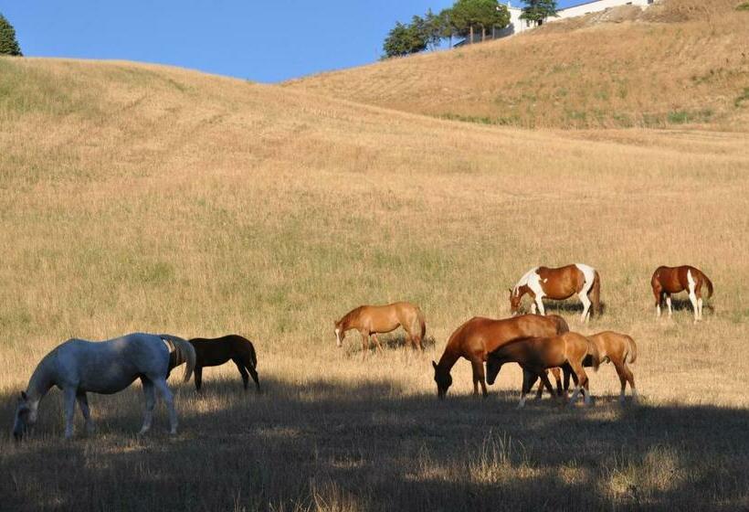 Masseria Straziuso La Vaccariccia