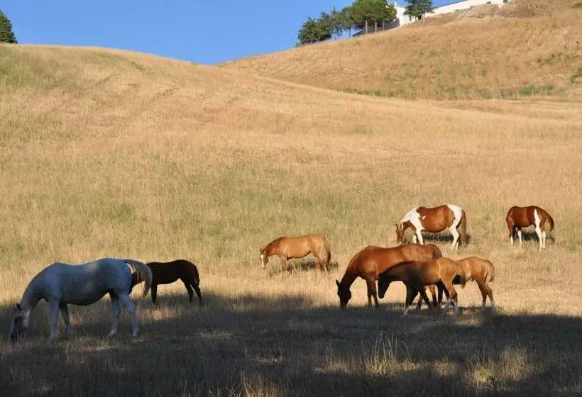 Masseria Straziuso  La Vaccariccia