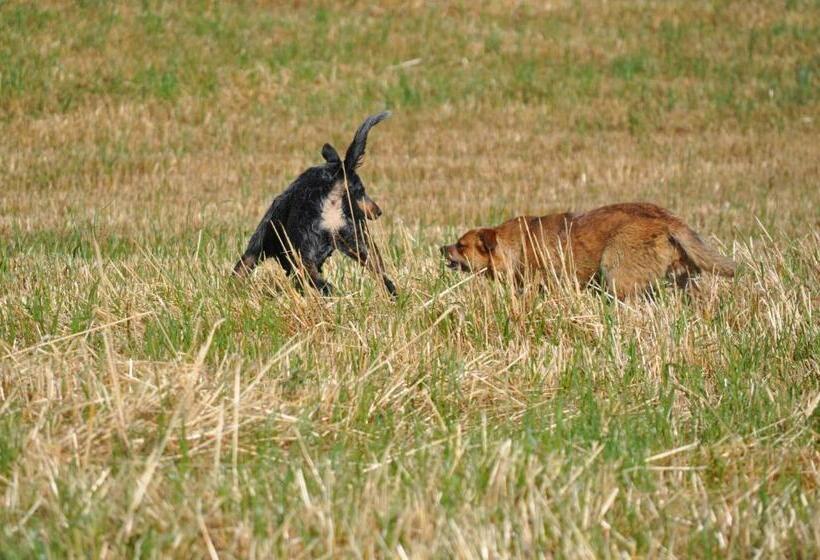 Masseria Straziuso La Vaccariccia