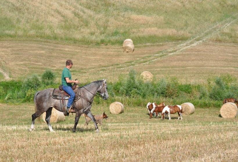 Masseria Straziuso La Vaccariccia