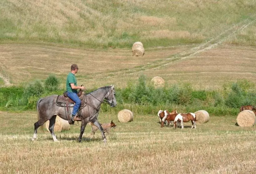 Masseria Straziuso  La Vaccariccia