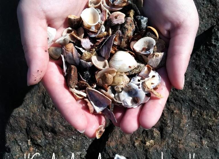 Пансион E Pousada Dom Manuel   ótima Localização