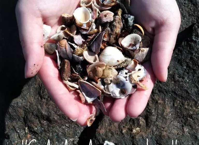 ペンション E Pousada Dom Manuel   ótima Localização