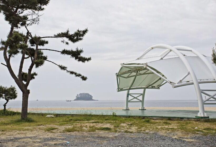 Pensão Solsum House