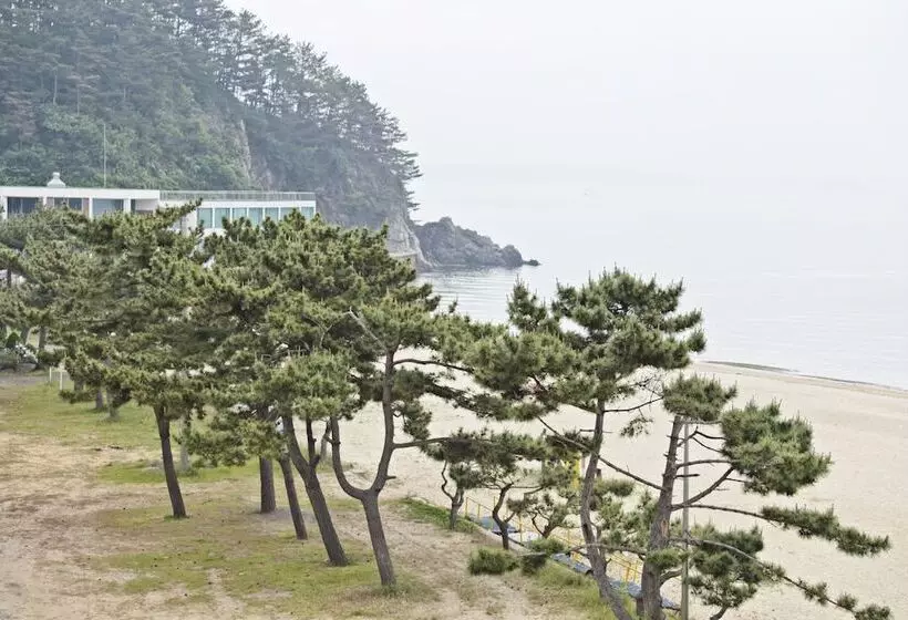 Majatalo Solsum House