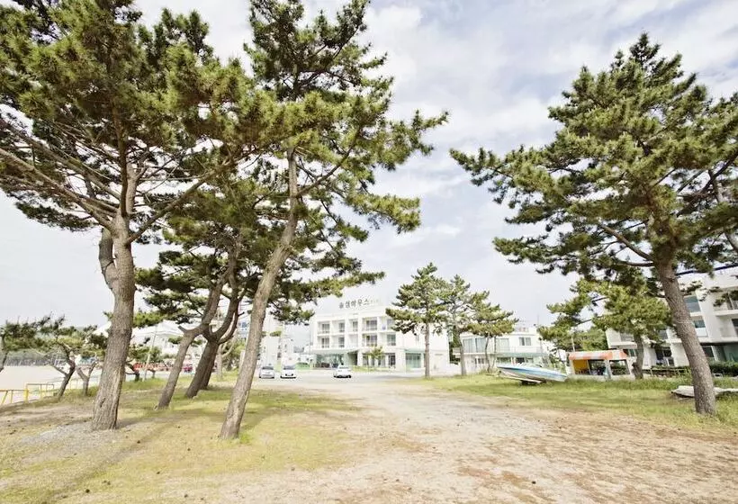 Majatalo Solsum House