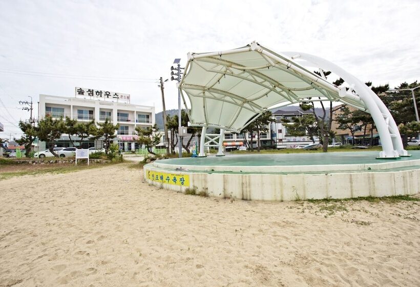 Pensão Solsum House