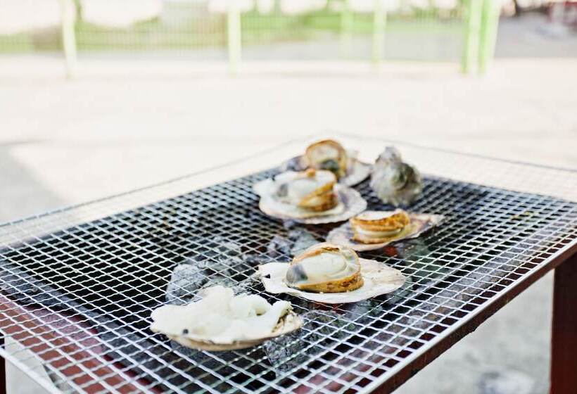 Pensão Solsum House