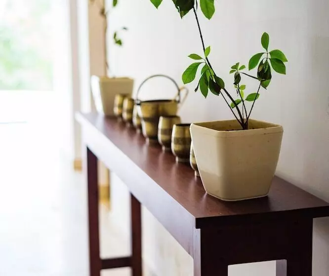 Lomakeskus Mekosha Ayurveda Spa Retreat