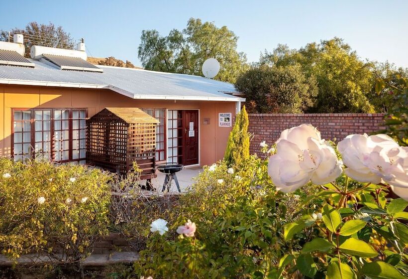 Gariep Dam Sunrose Group Of Guest Houses