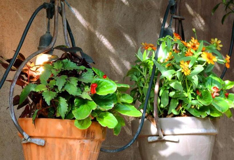 Отель El Portal Sedona