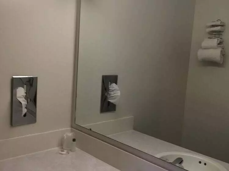 호텔 Gold Star Inn & Suites