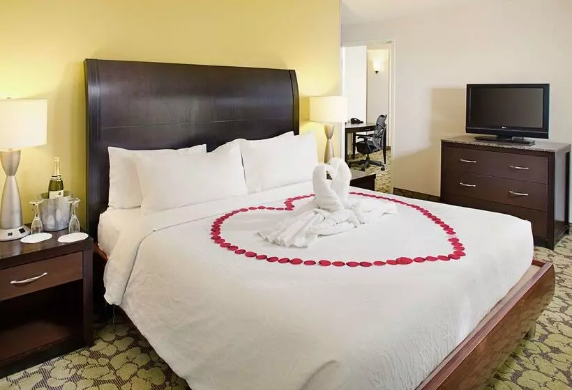 호텔 Hilton Garden Inn Denver Tech Center