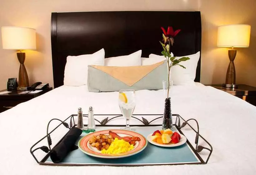 호텔 Hilton Garden Inn Denver Tech Center