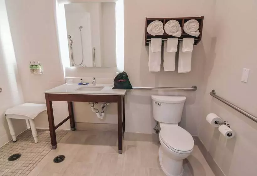 酒店 Holiday Inn Express & Suites Indianapolis Northwest, An Ihg