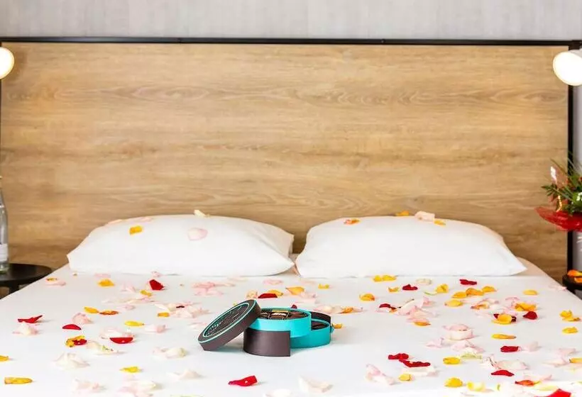 ホテル Ibis Centre Millau