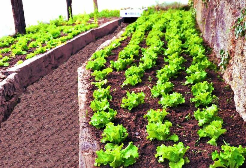 Отель Lusitania Congress & Spa