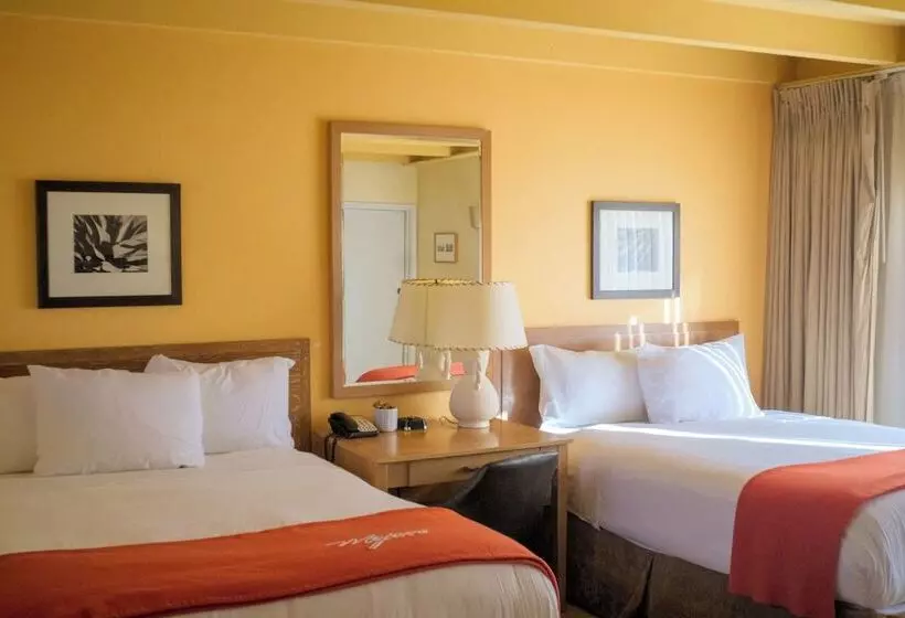 酒店 Mojave Resort