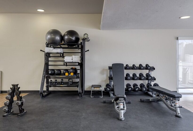 בית מלון כפרי Mysuites Lawton